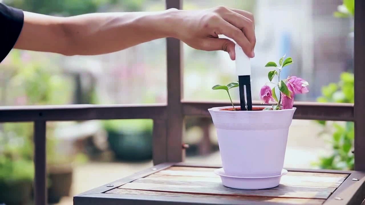 Xiaomi Mi Flora Monitor