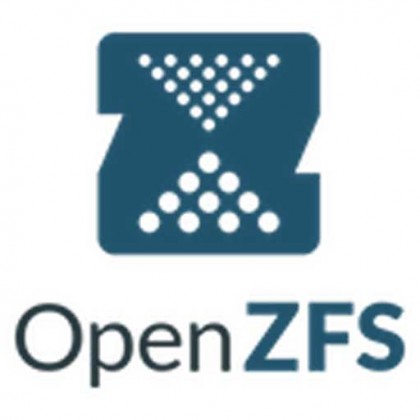 openzfs format disk