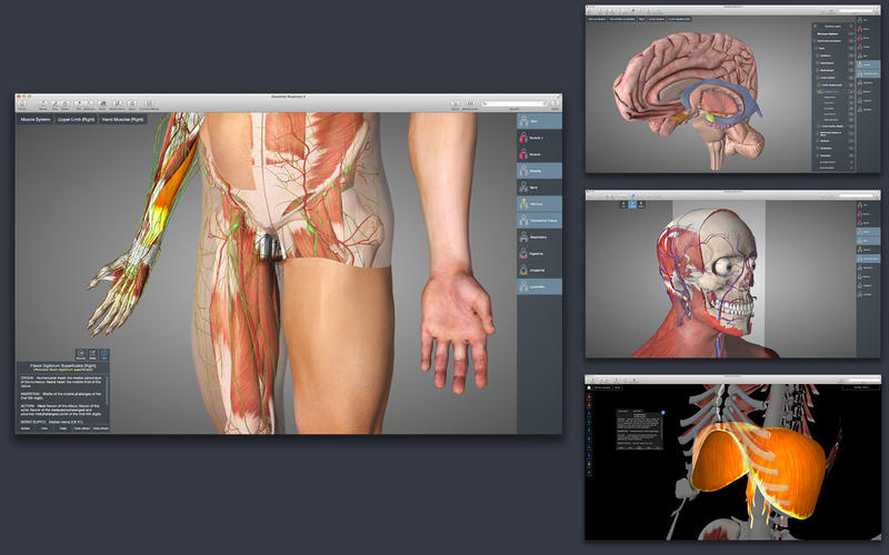 essential anatomy 5th edition torrent mac