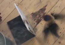 Frittura di MacBook Pro, ripreso in video mentre va a fuoco