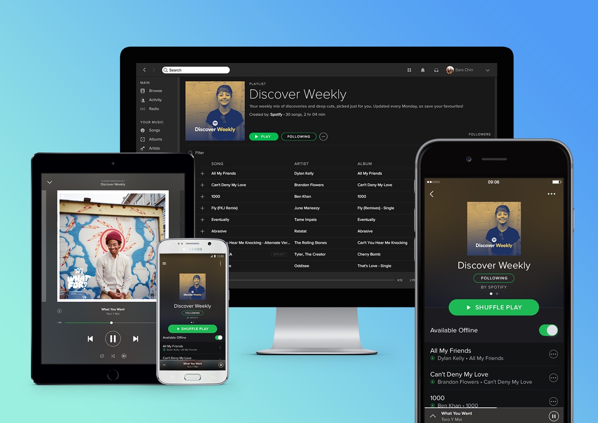 How Much Is Spotify Premium Family Dsateacher