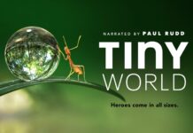 “Tiny World”, ecco il primo strabiliante trailer del documentario di Apple TV+