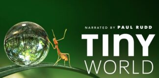 “Tiny World”, ecco il primo strabiliante trailer del documentario di Apple TV+