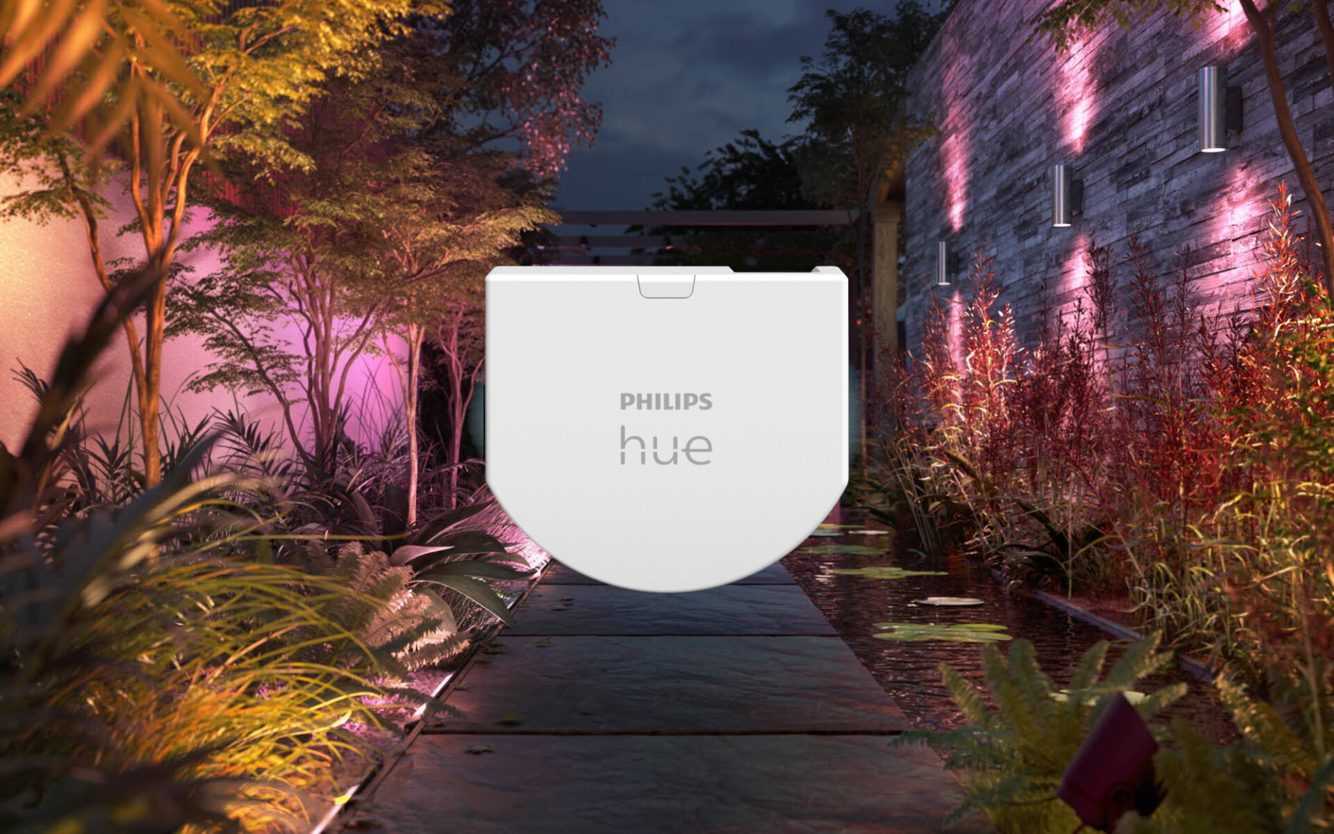 philips hue switch