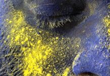 Le immagini della Festa dei Colori scattate con iPhone