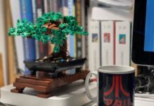 Una storia di Lego, bonsai e pandemia