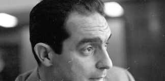 I migliori libri per amare ancora di più Italo Calvino