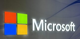 microsoft logo settimio perlini00006