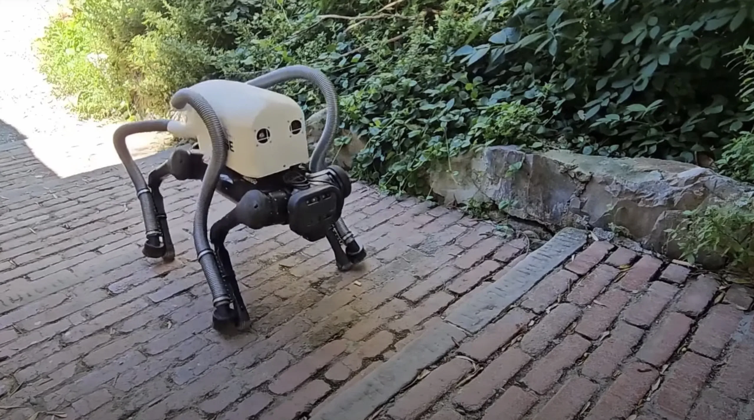 VERO è il cane robot che raccoglie le cicche