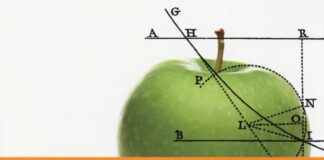 migliori libri imparare matematica da grandi copertina del libro cosa una spiegazione matematica di daniele molinini