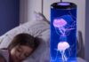 Meduse in bottiglia con la lampada speciale a soli 10 € - macitynet.it