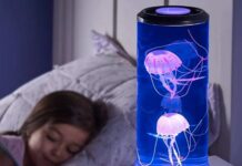 Meduse in bottiglia con la lampada speciale a soli 10 € - macitynet.it