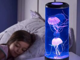 Meduse in bottiglia con la lampada speciale a soli 10 € - macitynet.it