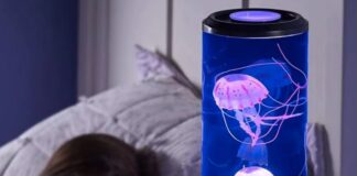 Meduse in bottiglia con la lampada speciale a soli 10 € - macitynet.it