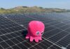 Fotovoltaico in Italia, Octopus Energy investe in Coralsun