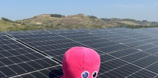 Fotovoltaico in Italia, Octopus Energy investe in Coralsun