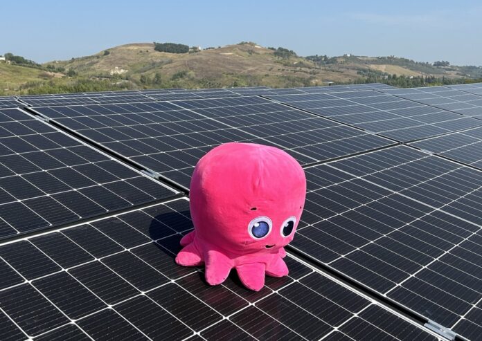 Fotovoltaico in Italia, Octopus Energy investe in Coralsun