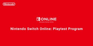 Nuovi dettagli sul misterioso Nintendo Playtest - macitynet.it