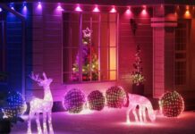 Renne e luci retate, l'illuminazione Smart di Twinkly 2024 - macitynet.it