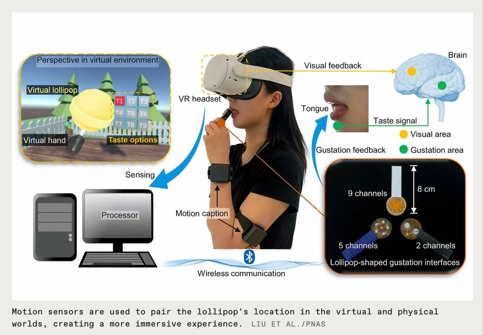 Un dispositivo a forma di lecca lecca per portare il senso del gusto nella Realtà Virtuale - macitynet.it