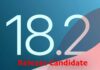 Release Candidate di iOS 18.2, iPadOS 18.2 e macOS Sequoia 15.2 agli sviluppatori - macitynet.it