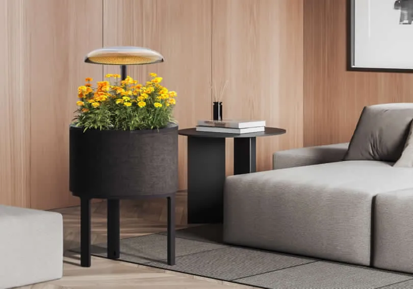 CES 2025, nuove soluzioni per giardinaggio indoor da LG - macitynet.it